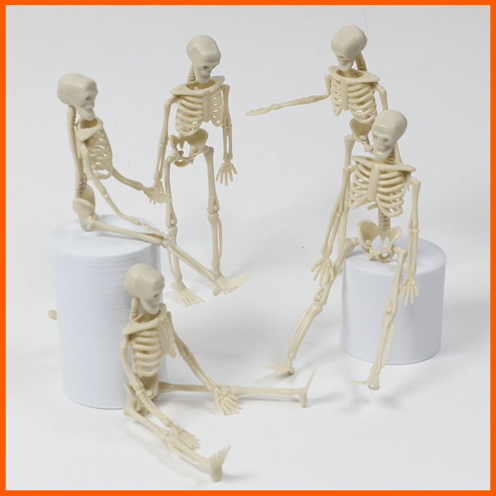 Free Skeletons